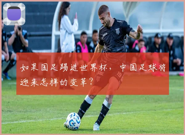 如果国足踢进世界杯，中国足球将迎来怎样的变革？
