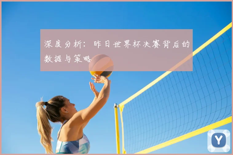 深度分析：昨日世界杯决赛背后的数据与策略